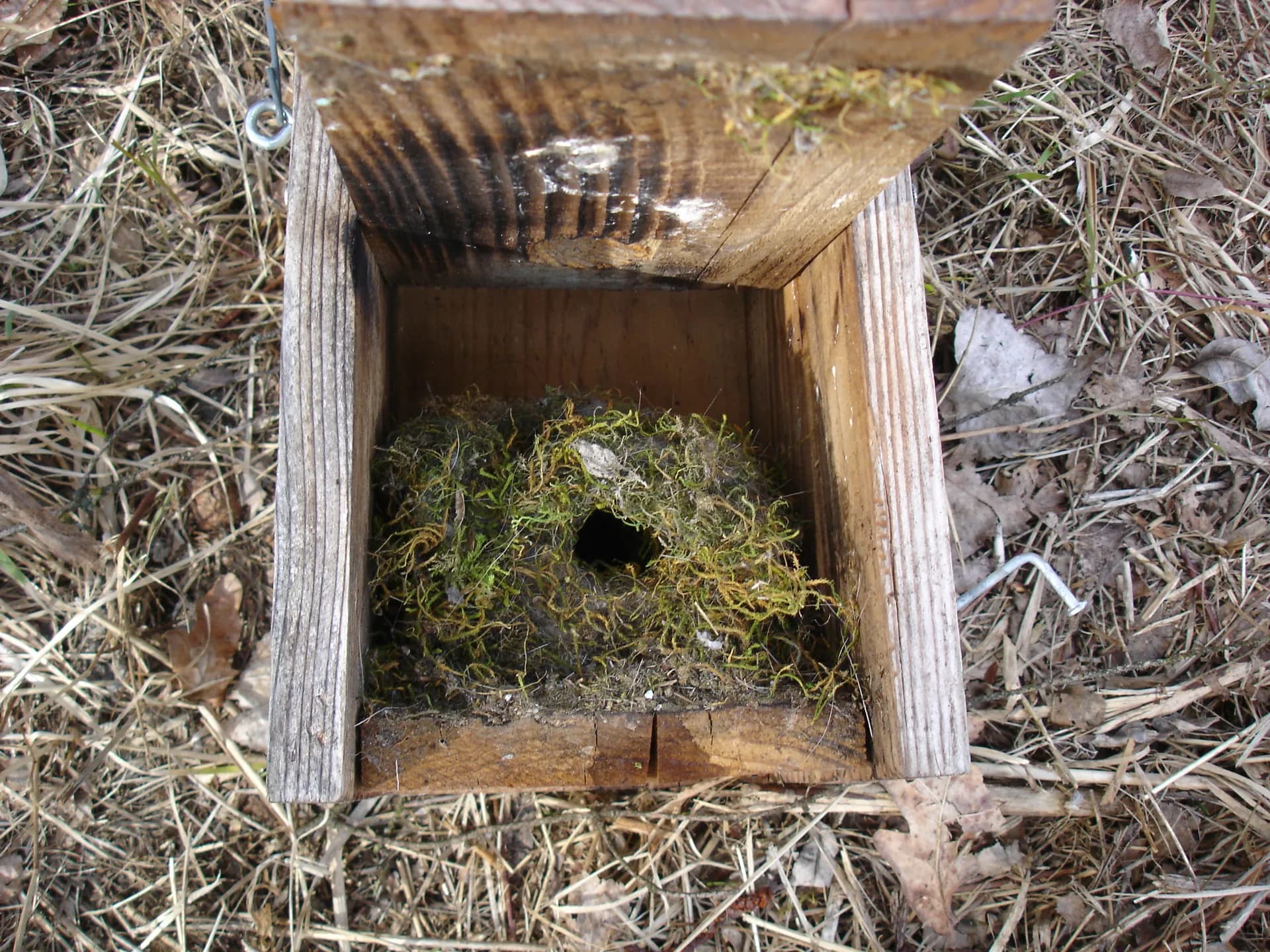 Vogelkästen Basics